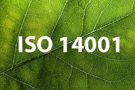 New ISO 14001
