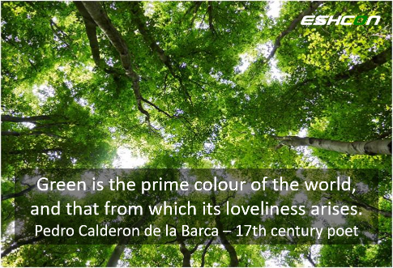 Quote "Green is the prime colour of the world" green trees