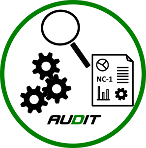Remote auditing icon